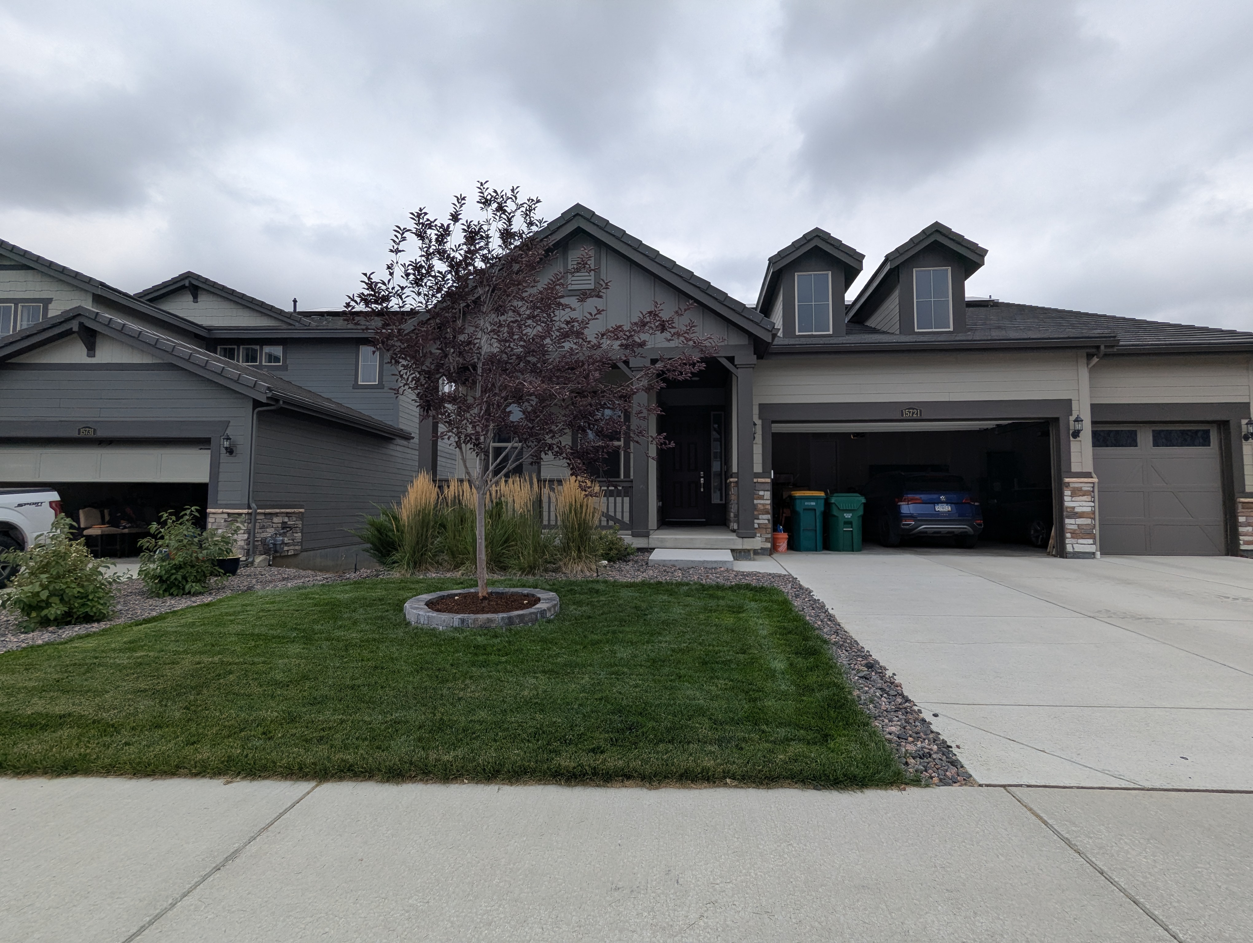 Tree Ring, Home Improvement, Morrison, Colorado